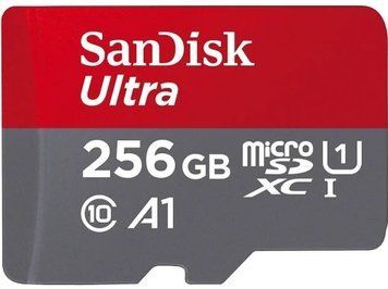 Карта памяти microSDXC, 256Gb, SanDisk Ultra, без адаптера (SDSQUAC-256G-GN6MN) 9055830 фото