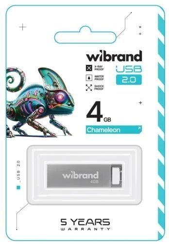 Флеш накопитель USB 4Gb Wibrand Chameleon, Silver, USB 2.0 (WI2.0/CH4U6S) 8597850 фото