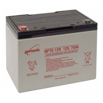 Батарея для ДБЖ 12В 75Ач EnerSys Genesis NP 75-12, Grey, AGM, 259х169х208 мм, 26.5 кг 7824870 фото