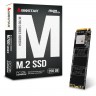 Твердотельный накопитель M.2 256Gb, Biostar M720, PCI-E 4x, 3D TLC, 3350 1300 MB