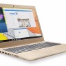 Ноутбук 15' Lenovo IdeaPad 520-15 (81BF00EERA) Gold 15.6' матовый LED FullHD (19
