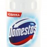Чистящее средство 'Domestos' WC, 1000 мл, Ультра