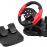 Руль Gembird STR-MV-02 Black Red, с педалями, USB, для PC PS2 PS3, 12 кнопок