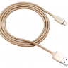 Кабель USB - Lightning, Canyon, Gold, 1 м, 2.4A, Apple MFi стандарт (CNS-MFIC3