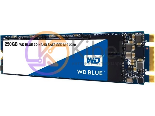 Твердотельный накопитель M.2 250Gb, Western Digital Blue, SATA3, TLC 3D NAND, 50