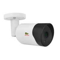 IP камера Partizan IPO-2SP SE v4.2 Cloud, 2 Мп, 1 2.9' FullHD CMOS, 1920x1080, H
