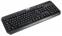 Клавиатура A4Tech K-100 Black, USB, стандартная